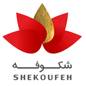 شکوفه